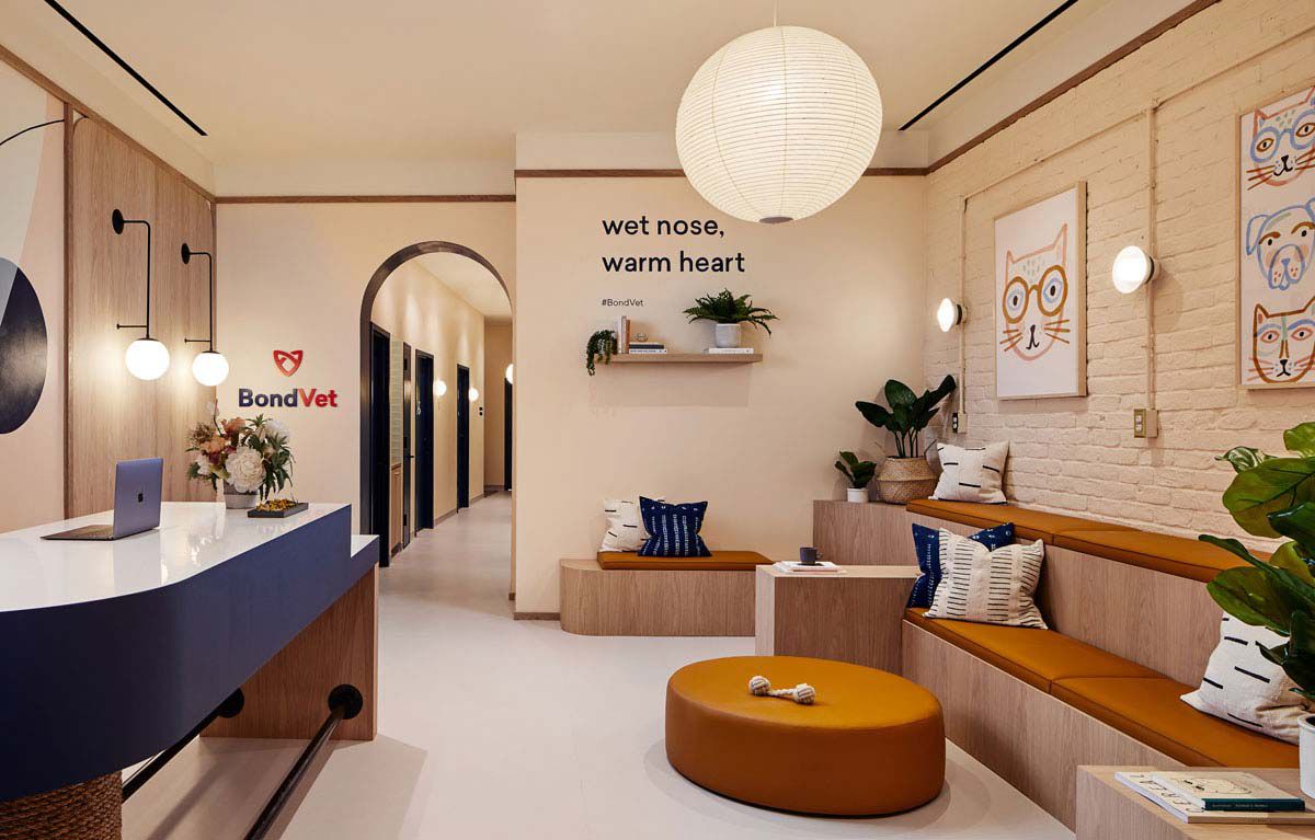 عيادة بيطرية احترافية - Vet Clinic Reception FutureVet