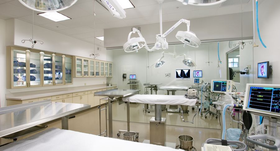 غرفة عمليات بيطرية - Vet Operating Room